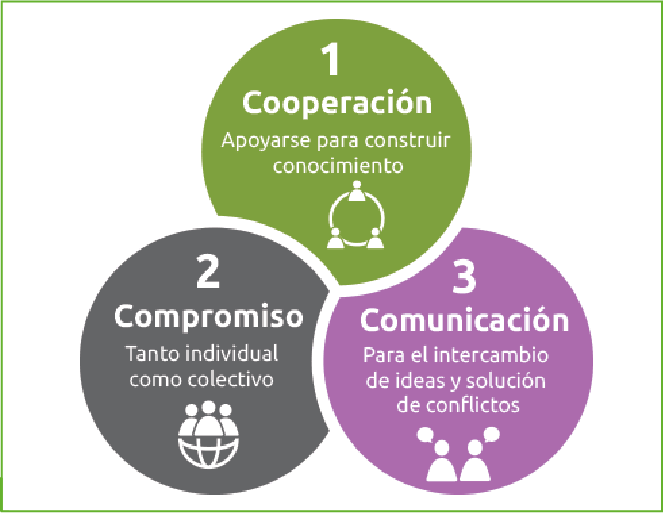 1 - COOPERACIÓN: Apoyarse para construir conocimiento;
2 - COMPROMISO: Tanto individual como colectivo;
3 - COMUNICACION: Para el intercambio de ideas y solución de conflictos.