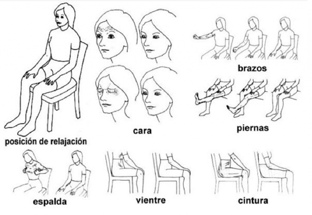 imagen descriptiva de la posición de relajación de distintas partes del cuerpo 